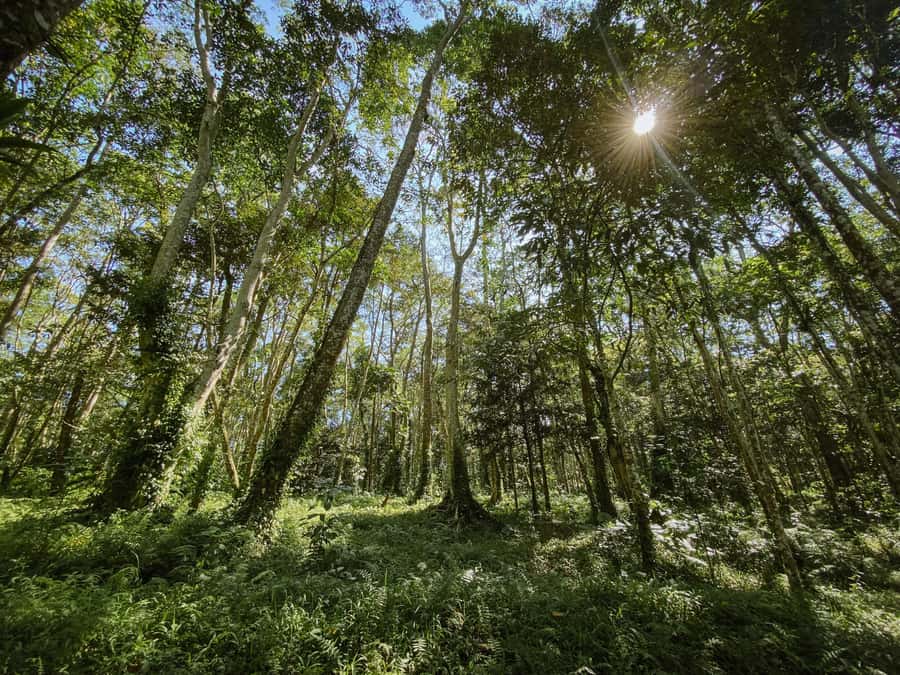 Lombok: Tetebatu Walk, Waterfall, Monkey Forest & Cooking - What to pack for a comfortable walk