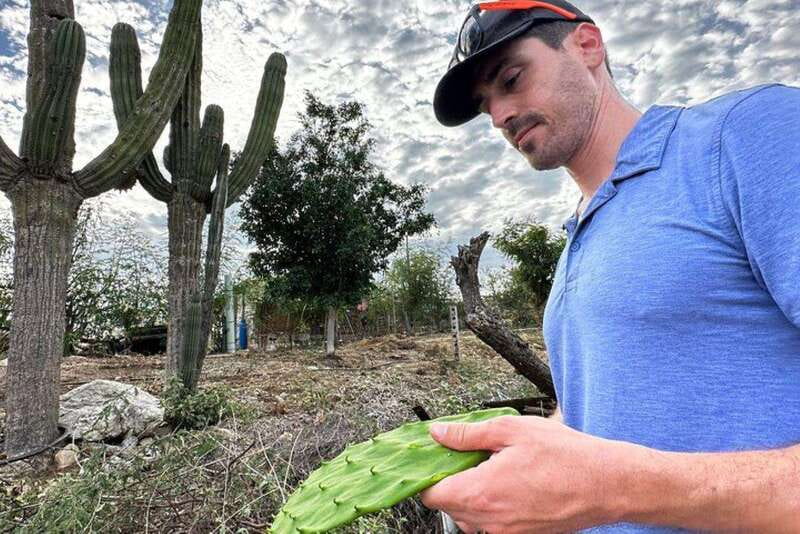 Los Cabos: Azteca Cactus Taco Farm to Table Cooking Class - A natural beach walk before sunset