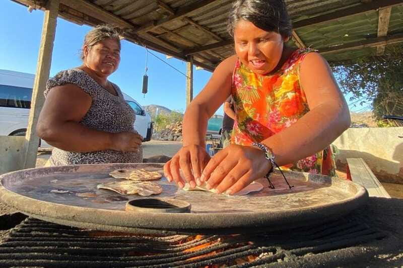 Los Cabos: Azteca Cactus Taco Farm to Table Cooking Class - Who should book this experience