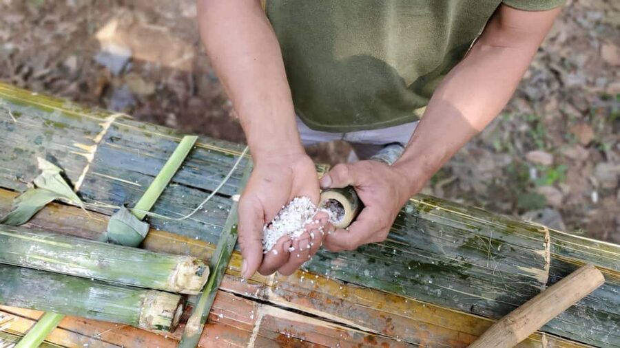 Luang Prabang: Bamboo Forest Cooking-class & Farm Visit - A Khmu perspective on everyday life