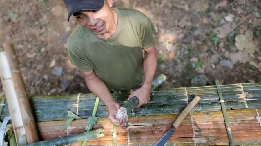 Luang Prabang: Bamboo Forest Cooking-class & Farm Visit - Is $100 a fair price?