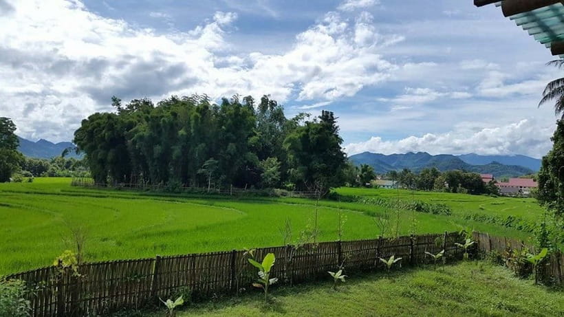 Luang Prabang: Evening Cooking Class & Local Baci Ceremony - The Baci ceremony and what it means