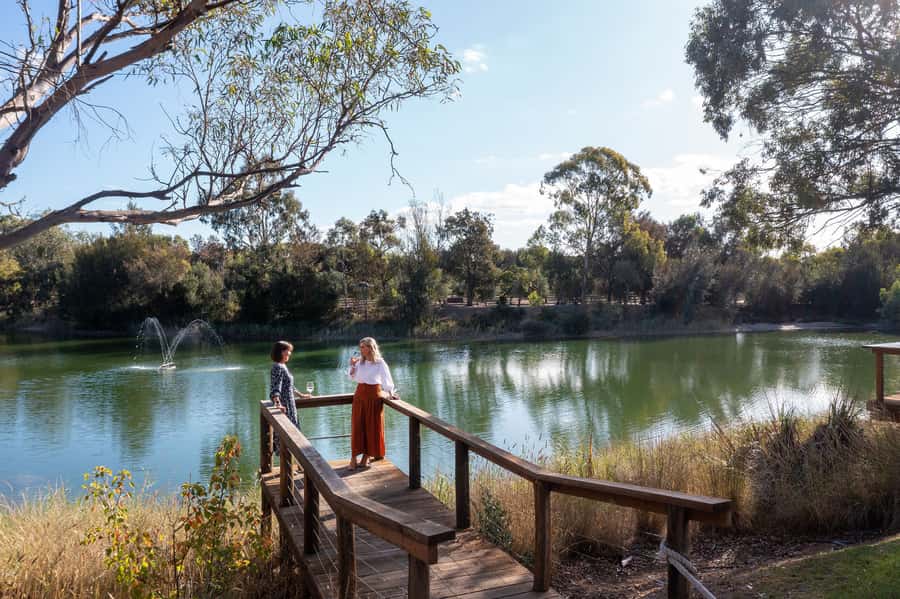 Maggie Beer's Farm: Cooking Demonstration with Lunch & Wine - From demonstration samples to a proper Barossa lunch