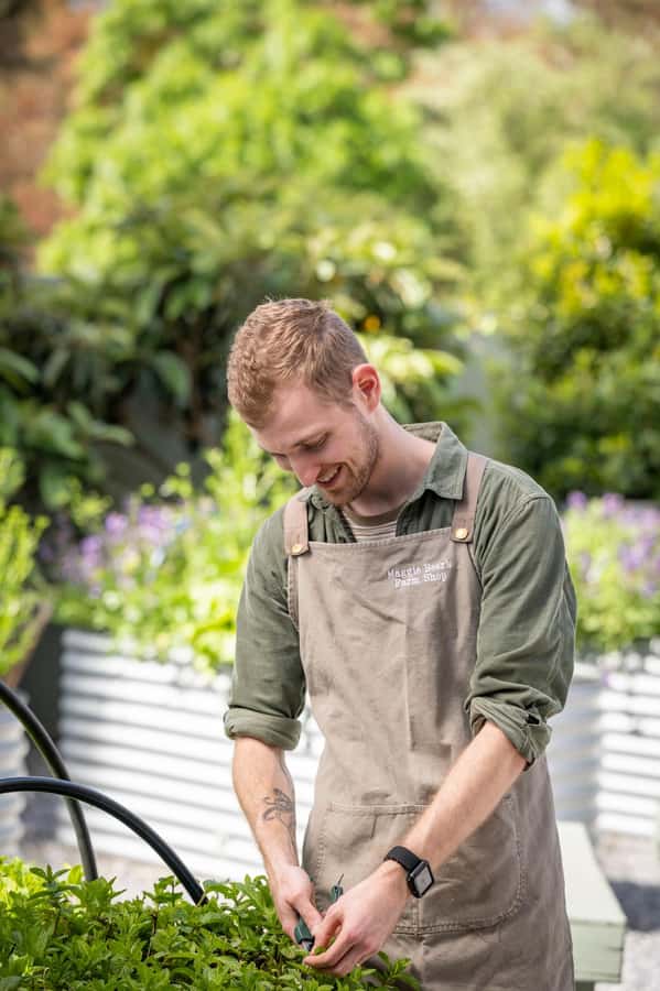 Maggie Beer's Farm Hands-on Cooking School and Lunch - Is $155 per person good value?