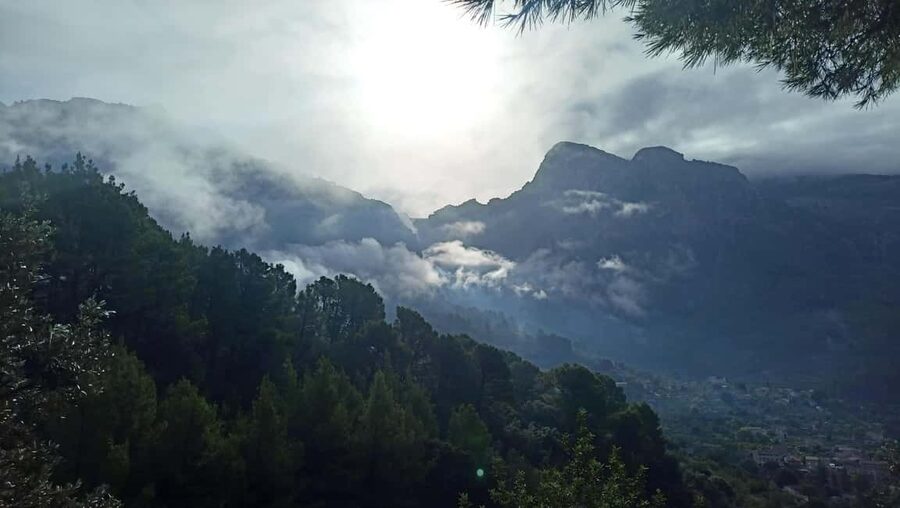 Mallorca: Paella Cooking Class in the Tramuntana Mountains - Key points at a glance