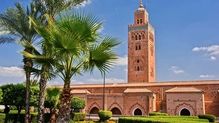 Marrakech: Cooking class in Marrakech by Chef Ayoub - Key points to know before booking