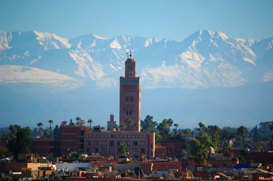 Marrakech: Moroccan Cooking Class with Amazing Local Chef! - Five Things to Know Before You Book