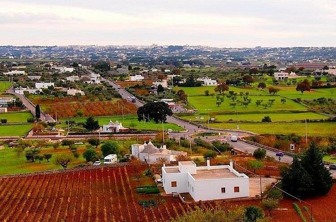 Martina Franca : Exclusive 3 - hour Cooking Class in a Masseria - How the available feedback affects my confidence