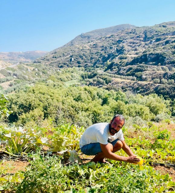 Melanes: Naxos Perivoli Farm & Cooking Class with Wood Fire - Greek family hospitality without a staged show