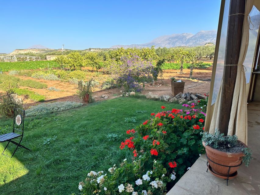 Moires: Cooking Class and Olive Oil Tasting at a Family Farm - Eating what you made