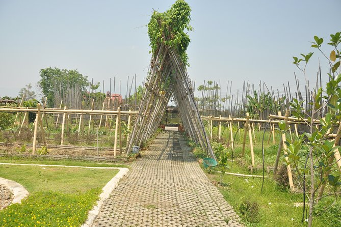 Morning Cooking Class in Organic Farm with Local Market Tour - Who Will Enjoy This Chiang Mai Cooking Class?