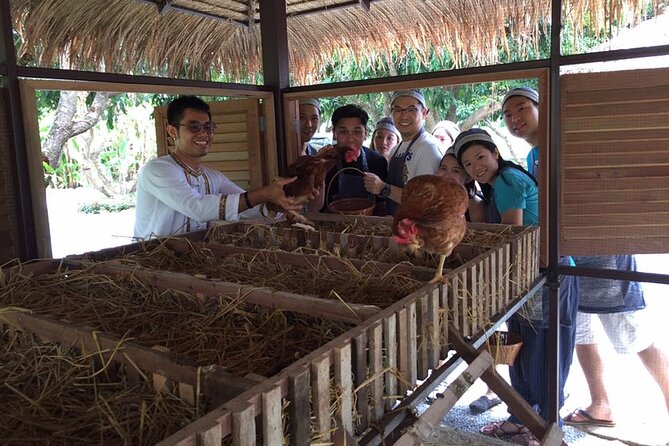 Morning Cooking Class in Traditional Pavilion with Beautiful Garden - Chiang Mai - Who will enjoy this Chiang Mai class?