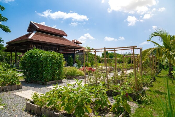 Morning Thai Cooking with Grandma - Market Visit & Farm Tour - Pickup, timing, and the small logistics that matter