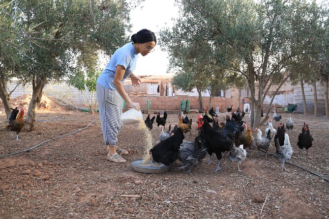 Moroccan Cooking Class and Eco-Farm Visit - Full day - Rooftop views and quiet time under the trees