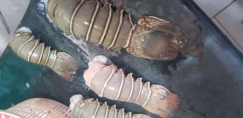 Mumbai Coastal Cooking: From Fishing Net to Flavourful Plate - Starting with Mumbai’s Fishing Heritage