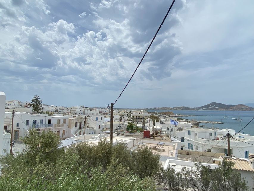 Naxos: Food Walking Tour & Cooking Class with Meal & Drinks - Shopping for lunch in the Naxos market