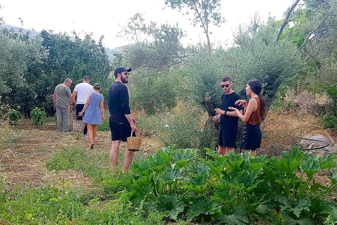 Naxos:Half-day cooking class at Basiliko - From Naxos Chora to a family farm