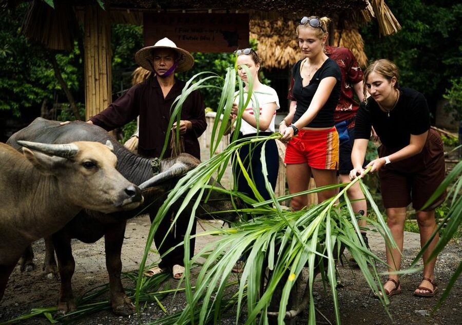 Ninh Binh cooking class at Buffalo Cave - Eating lunch you helped prepare