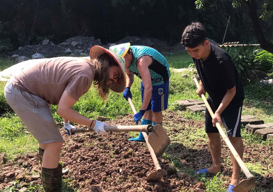 Ninh Binh: Half-Day Cooking Class at a Local Home - Cooking spring rolls and a fresh local meal