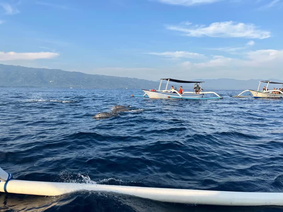 North Bali:Sunrise Dolphin Watching&CookingClass experience - Cooking with garden ingredients and a local family