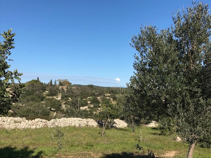 Noto: Farm to Fork in Sicily - Cooking Class in a Farm - Timing, group size, and practical planning