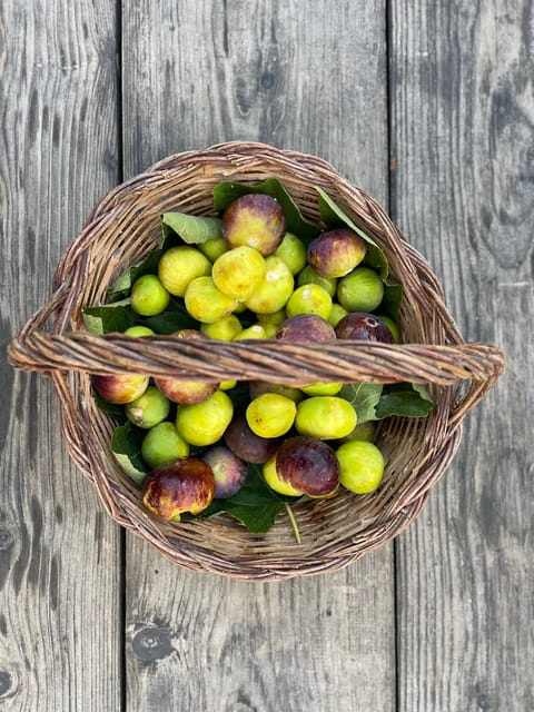 Noto: Farm to Fork in Sicily - Cooking Class in a Farm - Is the $169.93 price worth it?