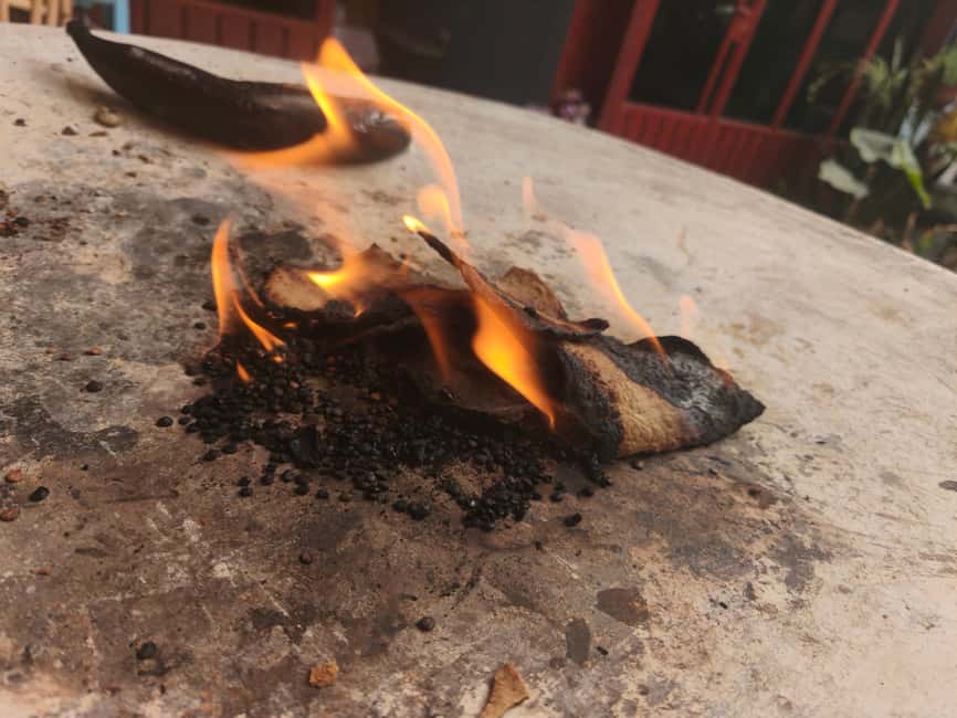 Oaxaca: Traditional Oaxacan Cooking Class - Hector and Aurora’s teaching style
