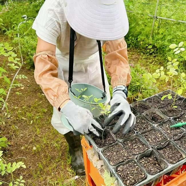 Okinawa: Traditional farming experience & cooking and a meal - Cooking a meal from the harvest