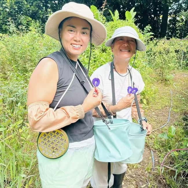 Okinawa: Traditional farming experience & cooking and a meal - Cost, group size, and what the $61 covers