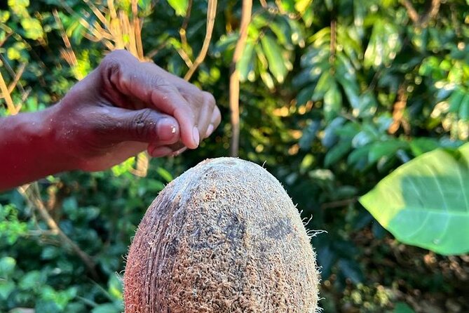 Organic cooking class sigiriya (kumara & family) - Who will enjoy this most