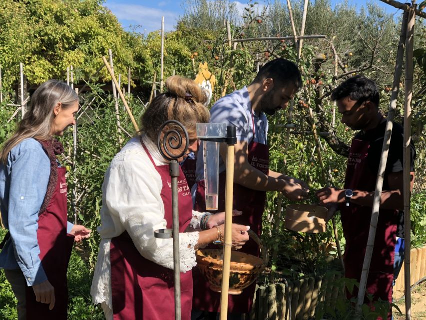 Paciano: Organic Cooking Class at a Farm with Lunch & Wine - Is $124.61 a good value?