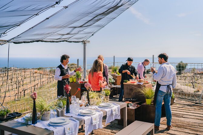 Paella Cooking Experience & Winery Tour from Barcelona - The meeting point and transport details that matter