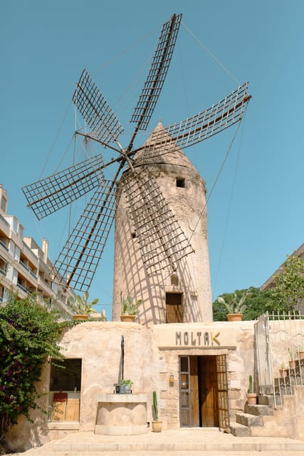 Palma de Mallorca: Spanish Cooking Experience - The meal matters as much as the cooking