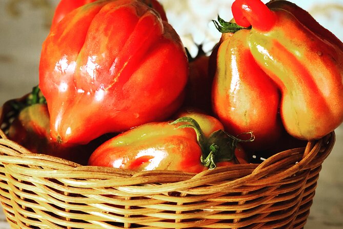 Pasta and Pizza cooking class in Cortona - The Duomo di Cortona itinerary note