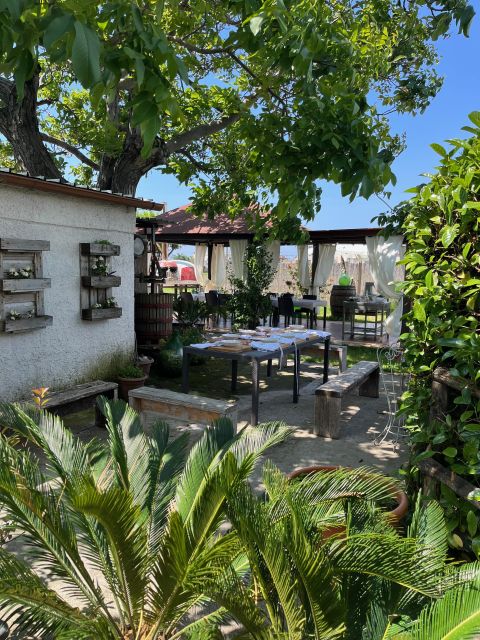 Pasta Cooking Class in a Garden near Pompeii - Who should book this Pompeii cooking class?