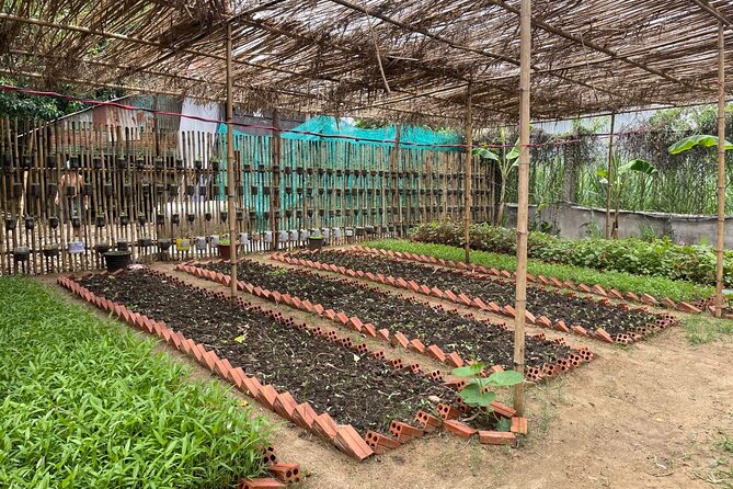 Phnom Penh’s Hands-On Khmer Cooking Class in the Countryside - What the $35 Price Really Buys