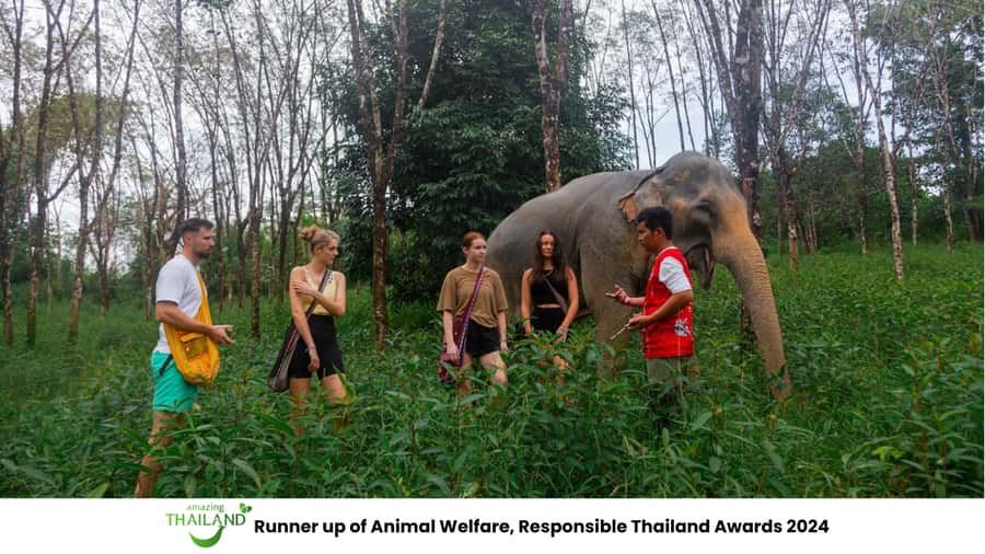 Phuket: Elephant Sanctuary Tour, Cooking Class & Lunch - Key points before you book