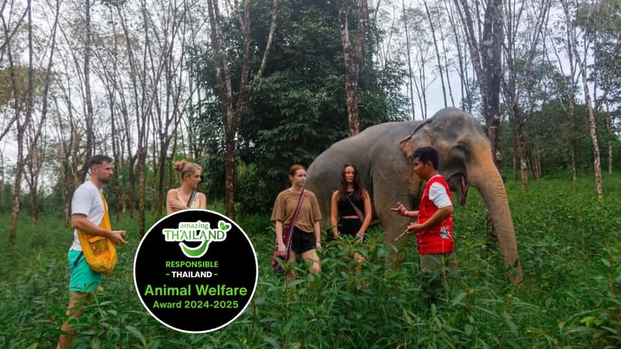 Phuket: Elephant Sanctuary Tour, Cooking Class & Lunch - Why the elephant program feels different