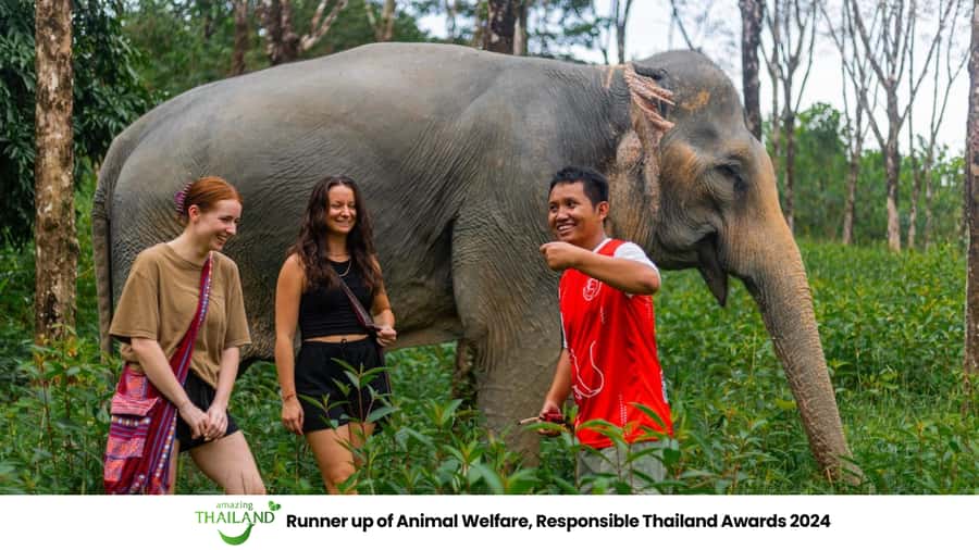 Phuket: Elephant Sanctuary Tour, Cooking Class & Lunch - Arrival at Khao Lak Elephant Sanctuary