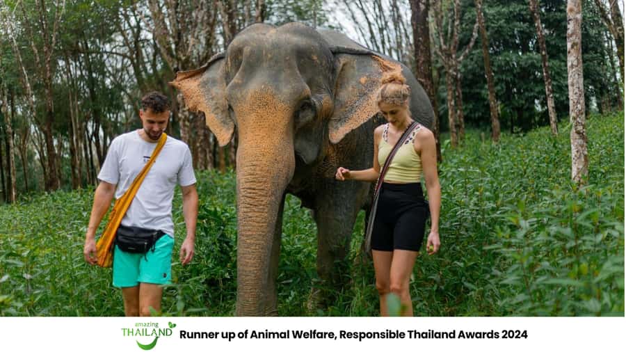Phuket: Elephant Sanctuary Tour, Cooking Class & Lunch - The long ride from Phuket to Khao Lak