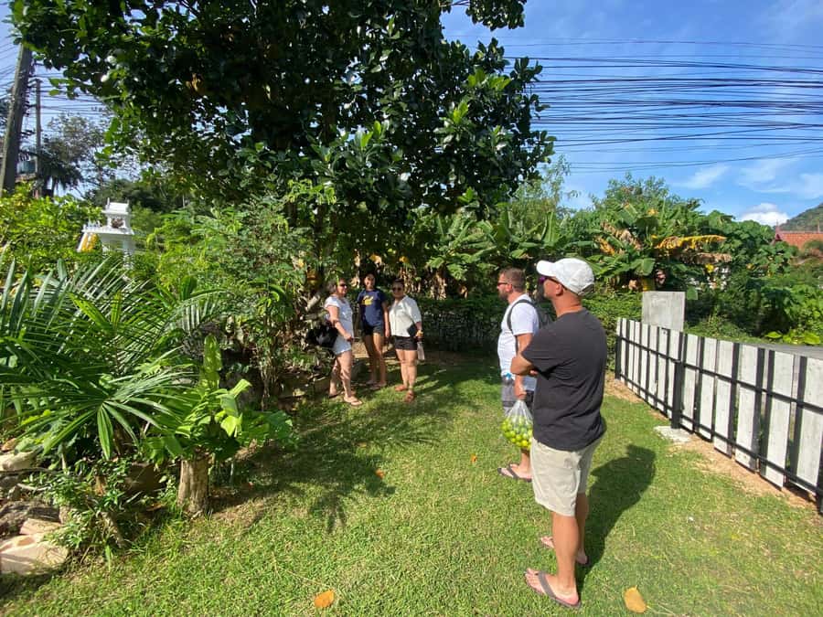 Phuket: Thai Cooking Class with Market Tour - Cooking in the garden at Wooddy Kitchen