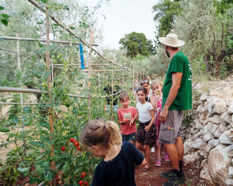 Phyllo Pie Baking Class @ Lefkada Micro Farm - Should you book the Lefkada Micro Farm class?