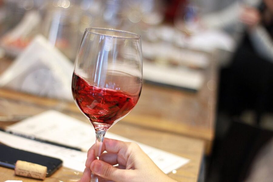 Premium Empanadas Cooking Class & Wine Tasting Experience - Guides who add more than instructions