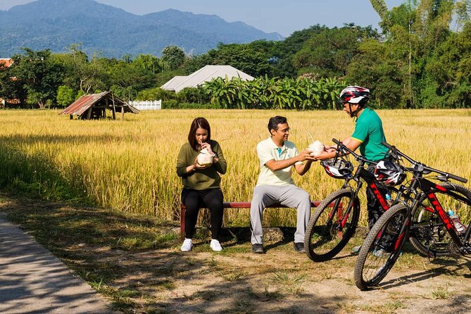 Private Bicycle Tour to Chiang Mai and Thai Cooking Class - Why this Chiang Mai day trip works