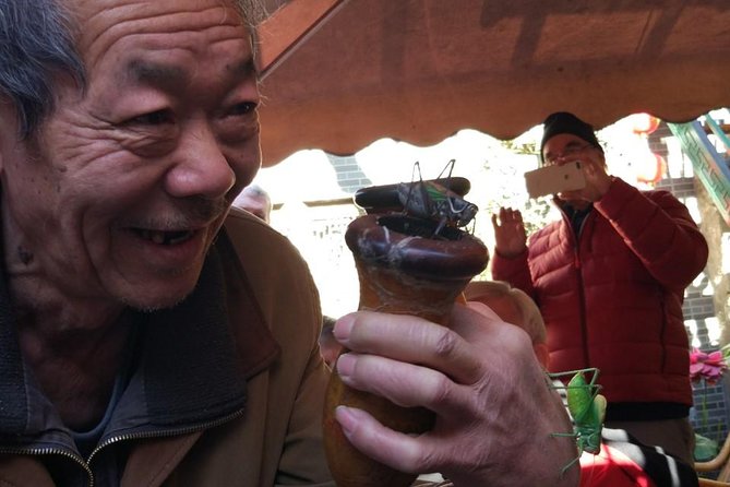 Private Hutong Culture Tour with Dumpling Cooking Class plus Cricket Fighting Game - Why this six-hour tour feels different