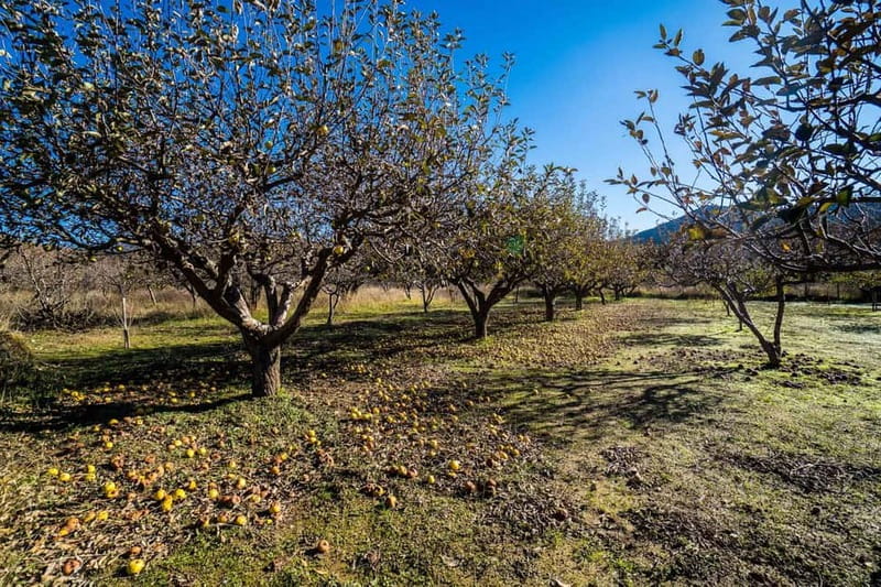 Private Jeep Tour to Psiloritis Mountain & Cooking Lesson - Nida Plateau and the cave where Zeus was born