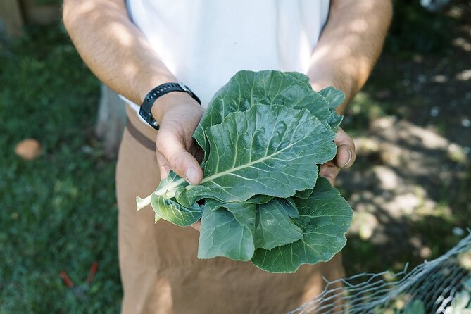Private New Orleans Cajun Cooking Class with a Local Courtland - Dietary needs, pets, and the home setting