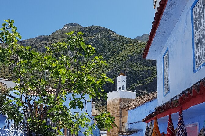 Private Tagine Cooking Class in Chefchaouen with Lunch - Timing, pickup, and getting to the class