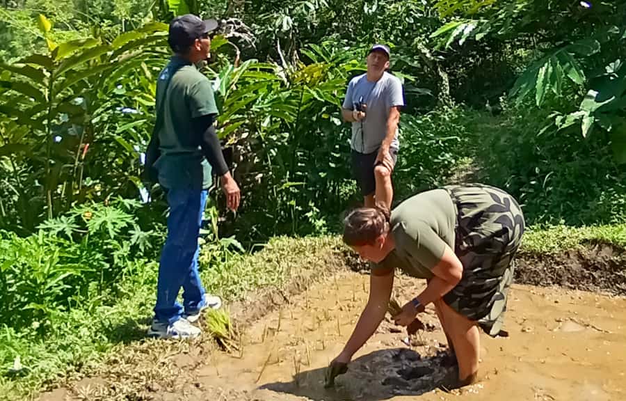 Pure Bali Village Experience Cooking & Jamu Class, Transfer - Rindik Music and the Balikaru Garden
