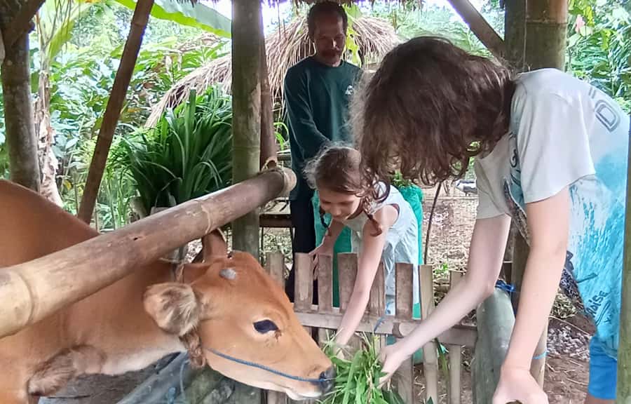 Pure Bali Village Experience Cooking & Jamu Class, Transfer - Making Two Balinese Jamu Drinks